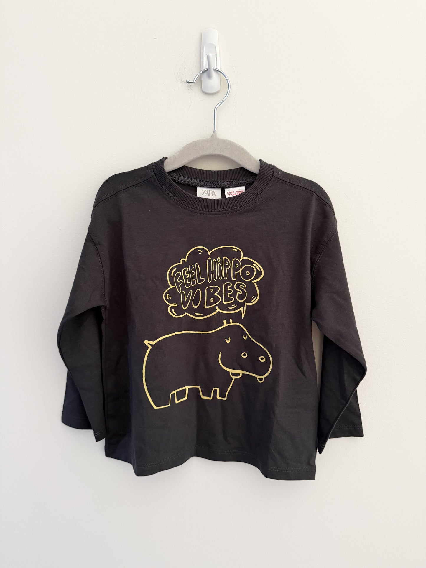 Zara Animals Long Sleeve Bundle (2y)