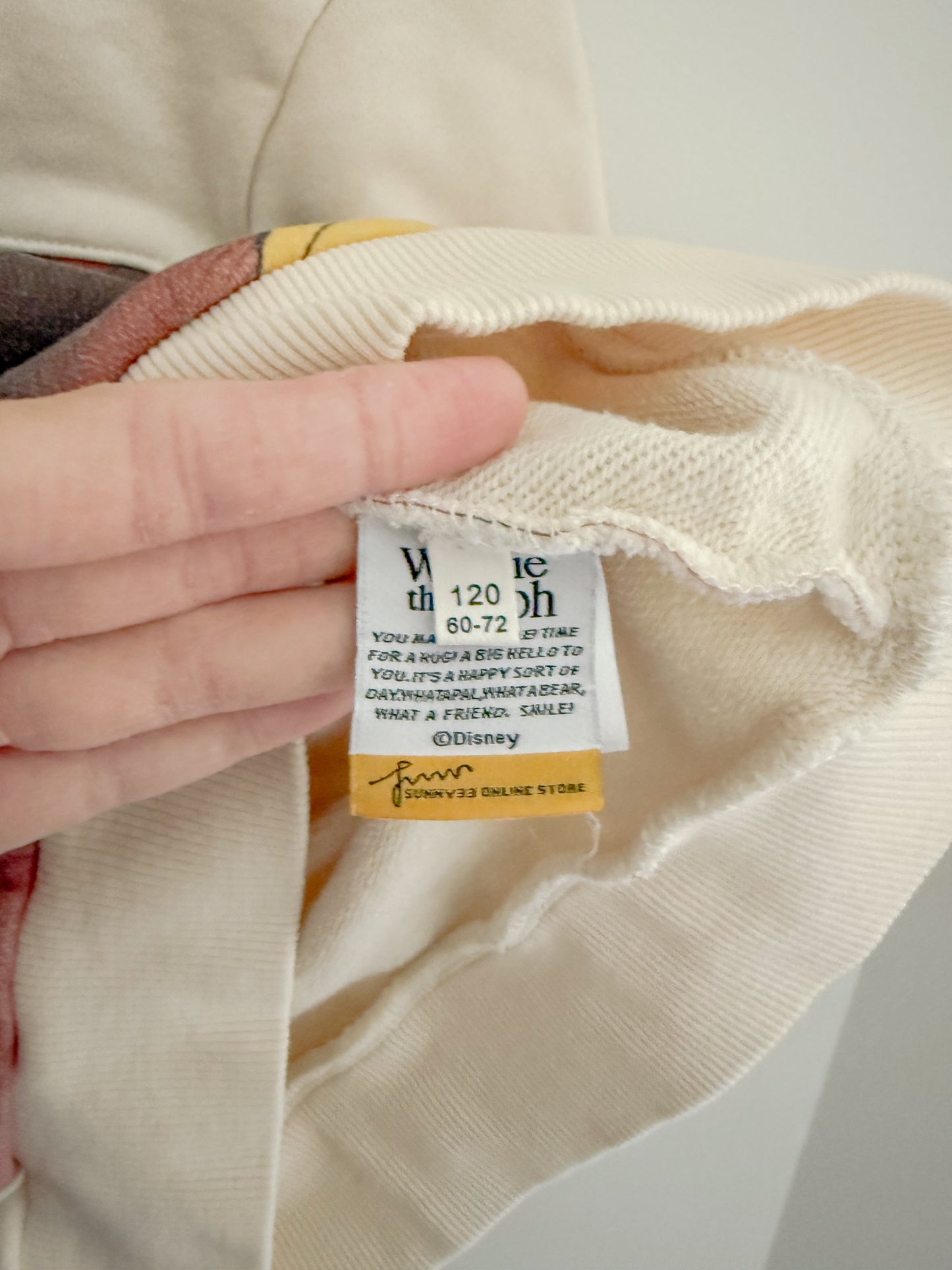 Winnie The Pooh Hoodie (fits 6y)