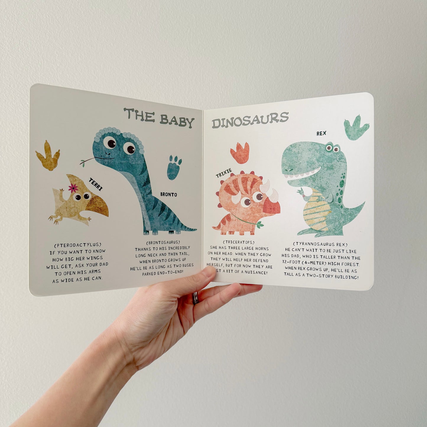 Terri's First Flight - Board Book