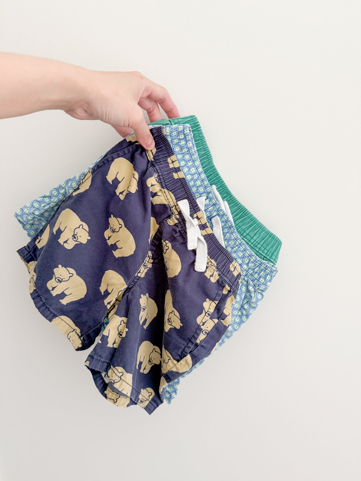 Seed Heritage Shorts - Bears (4y)