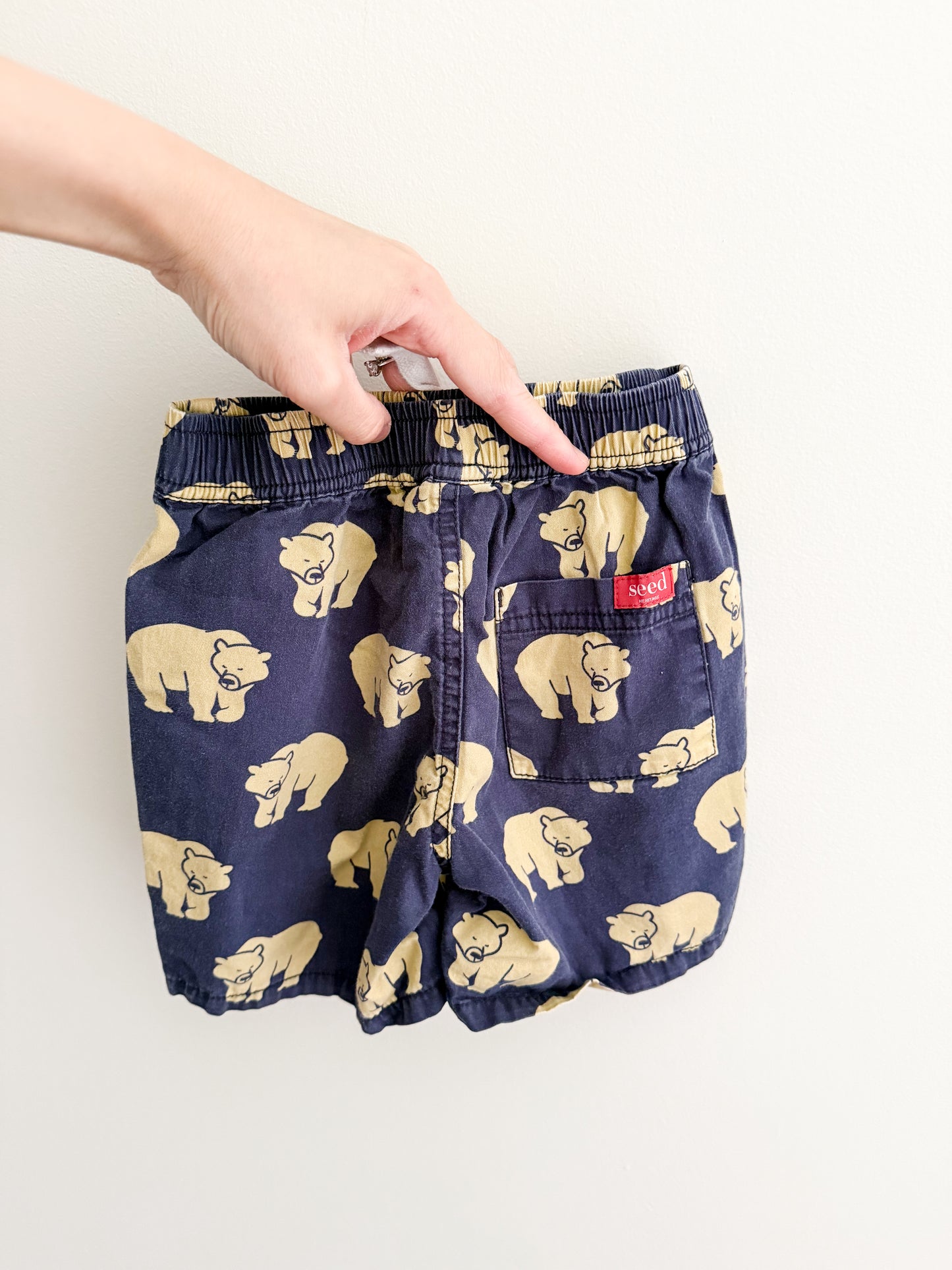 Seed Heritage Shorts - Bears (4y)