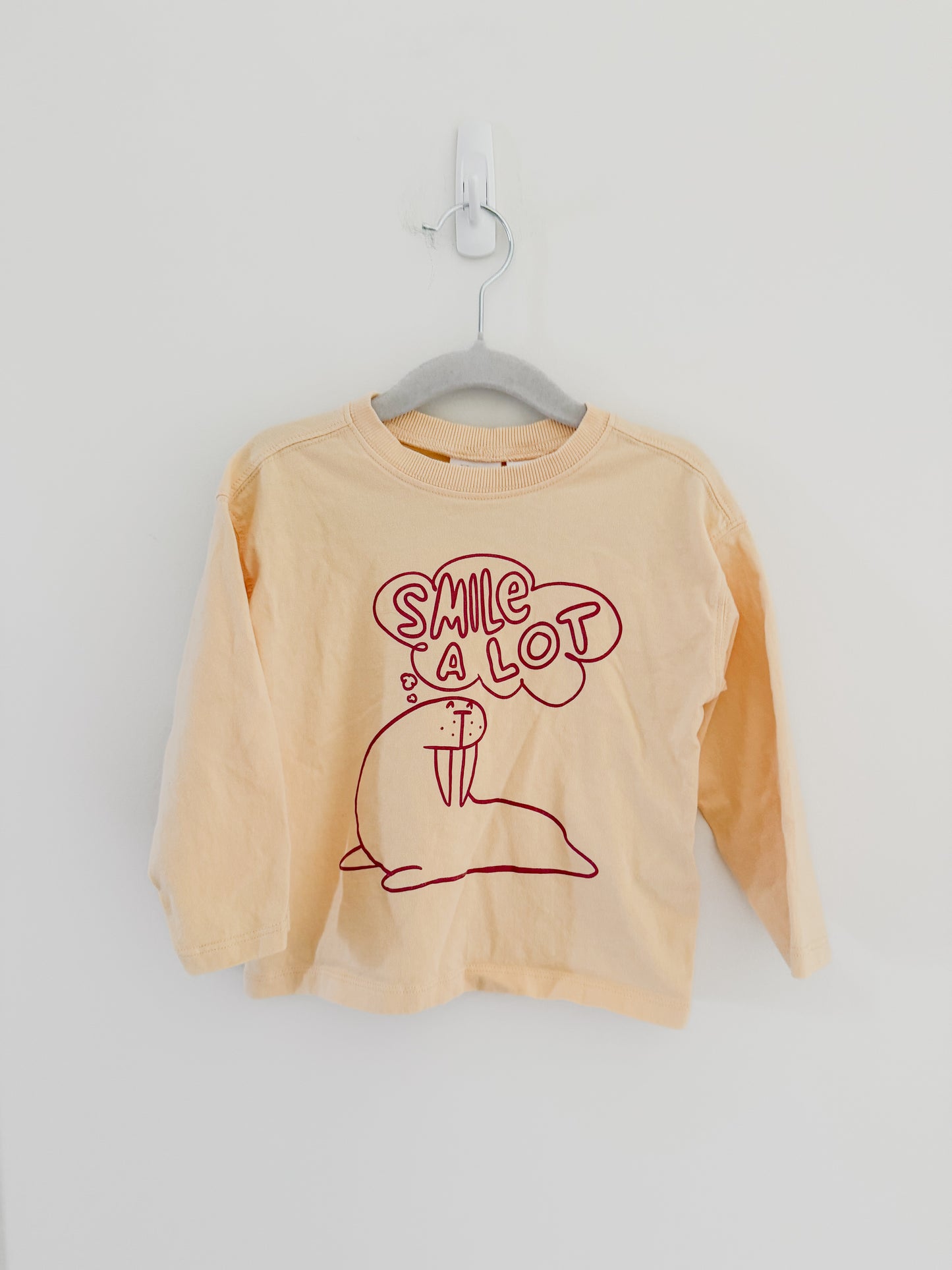 Zara Animals Long Sleeve Bundle (2y)